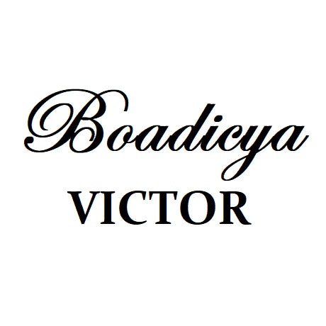 BOADICYA VICTOR